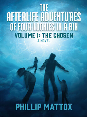 cover image of The Afterlife Adventures of Four Loonies in a Bin, Volume I